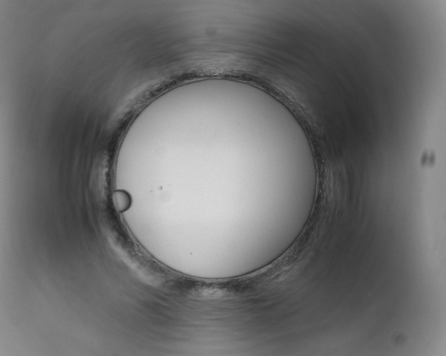 X0000111390590200907101002