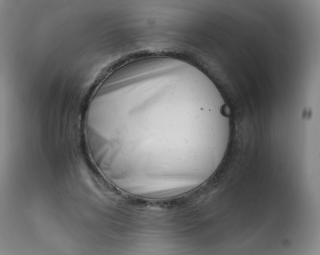 X0000111390592200907101002