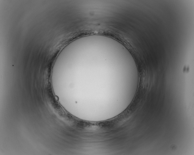 X0000111390594200907101002