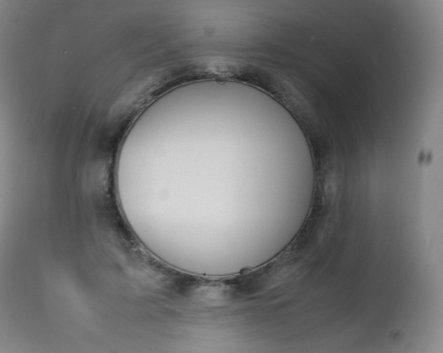 X0000111390595200907101002