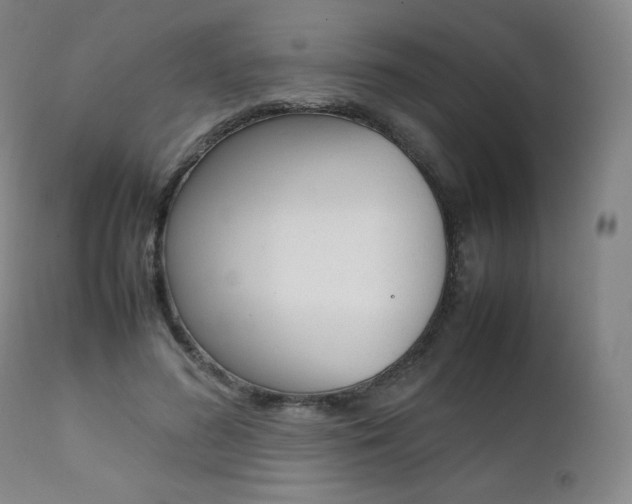 X0000111390596200907101002