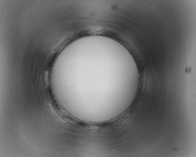 X0000111390598200907101002