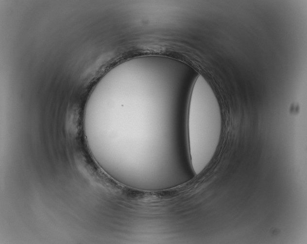 X0000111390600200907101002