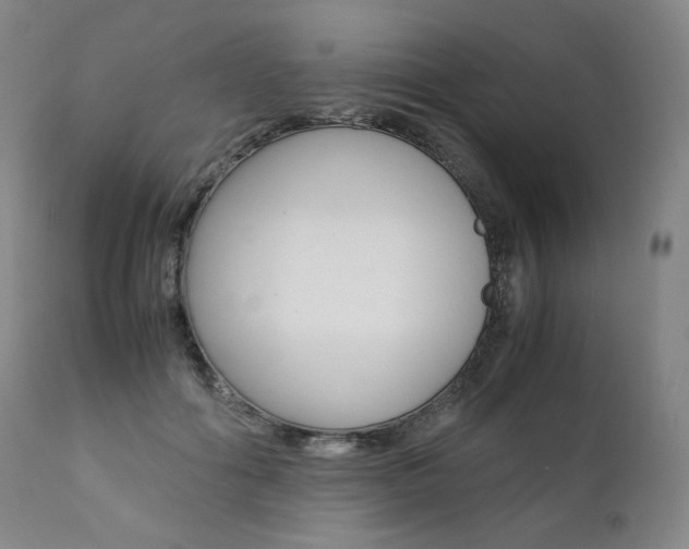 X0000111390602200907101002