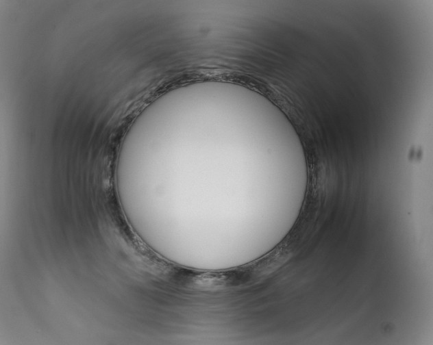 X0000111390606200907101002