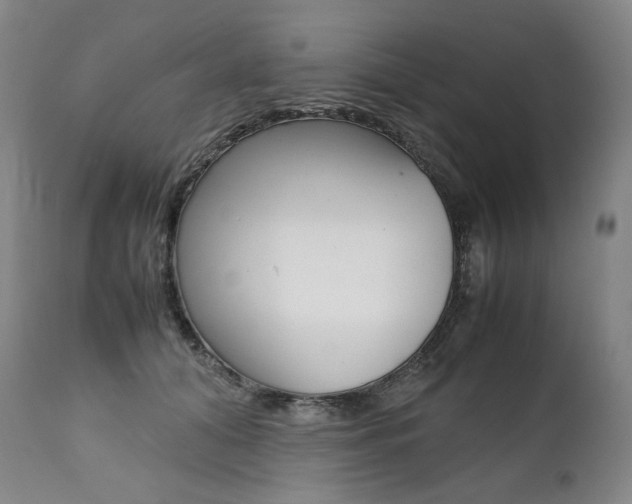 X0000111390608200907101002