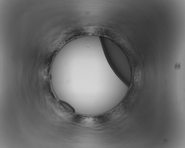 X0000111390611200907101002