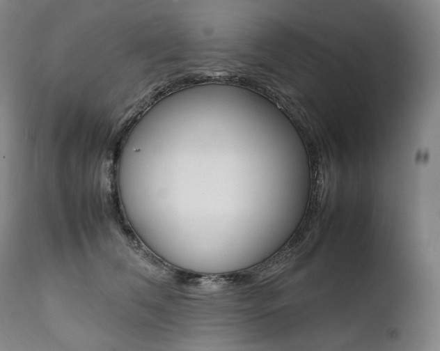 X0000111390612200907101002