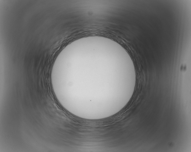 X0000111390613200907101002