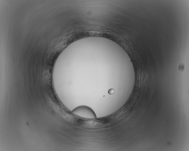X0000111390614200907101002