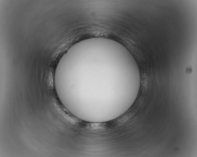 X0000111390622200907101002
