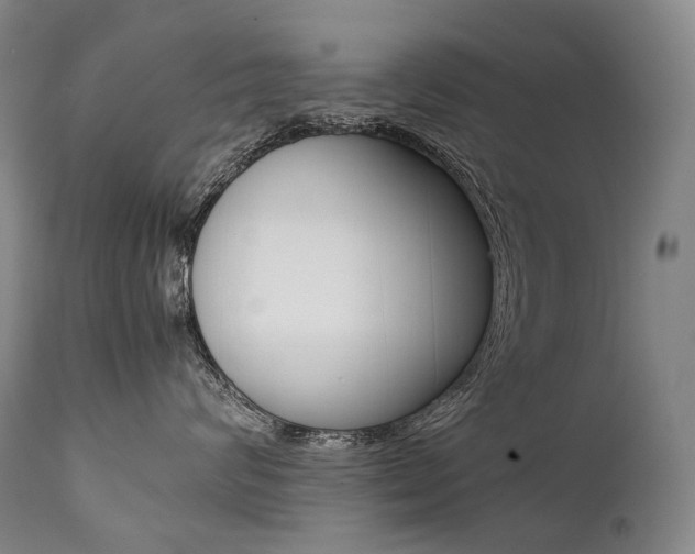 X0000111390624200907101002