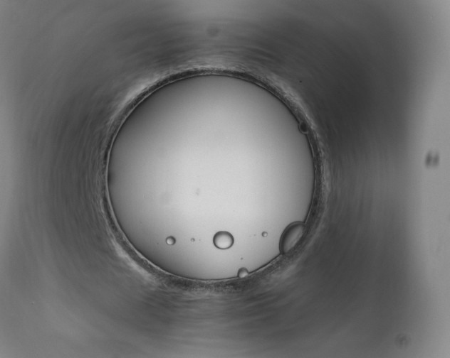 X0000111390625200907101001