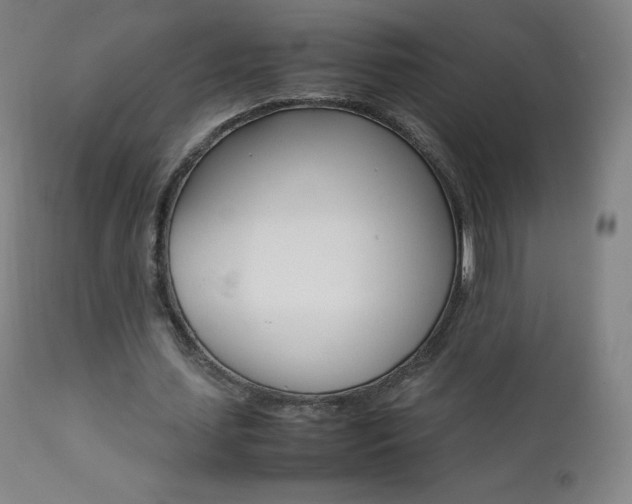 X0000111390627200907101001