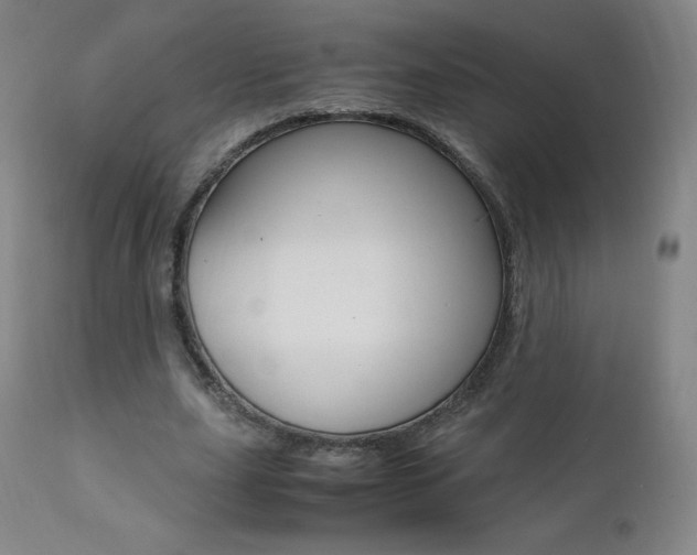X0000111390631200907101001