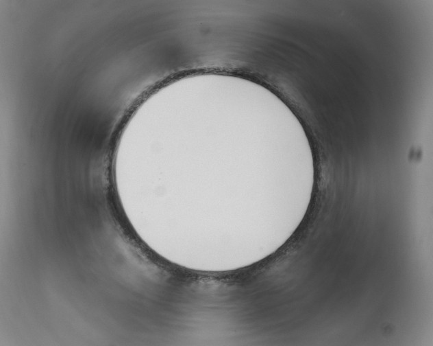 X0000111390632200907101001