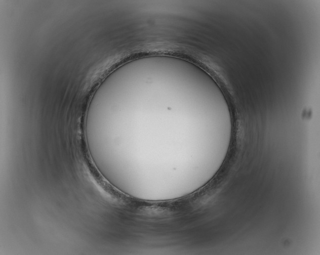 X0000111390633200907101001