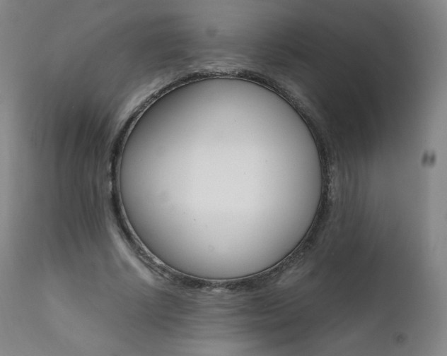 X0000111390634200907101001