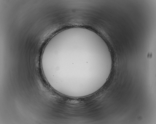 X0000111390635200907101001