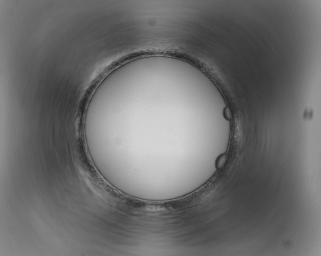 X0000111390636200907101001