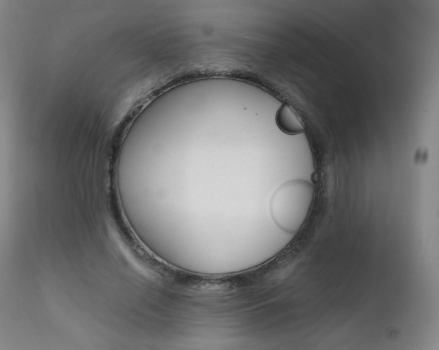 X0000111390638200907101001