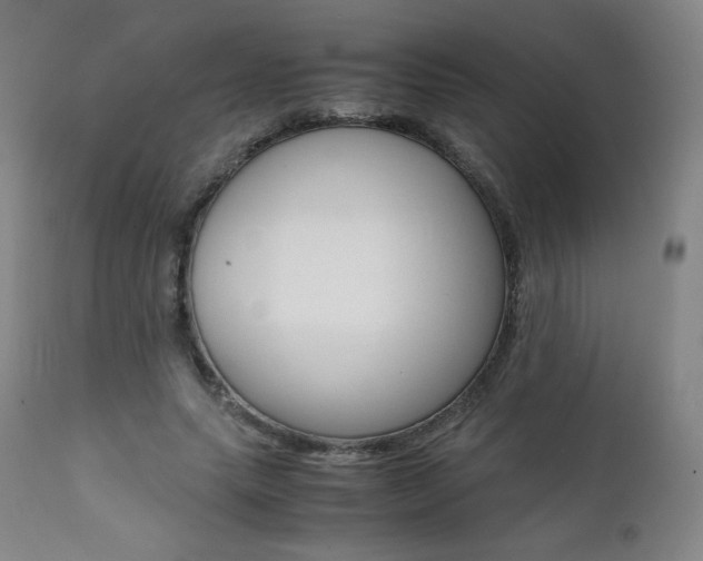X0000111390639200907101001