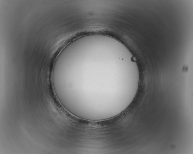 X0000111390640200907101001