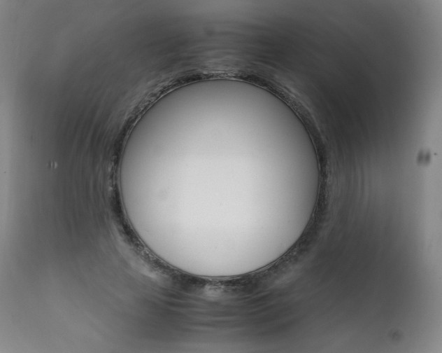 X0000111390641200907101001