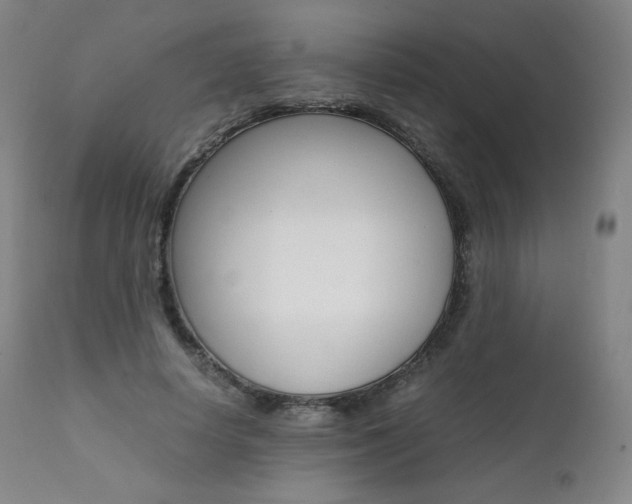 X0000111390642200907101001