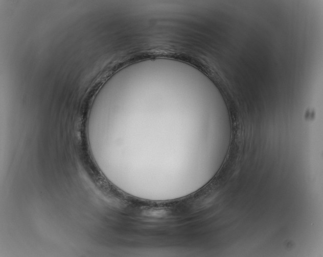 X0000111390643200907101001