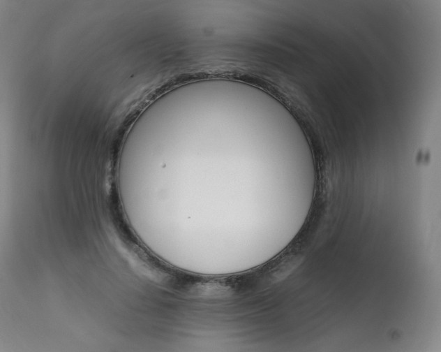 X0000111390644200907101001