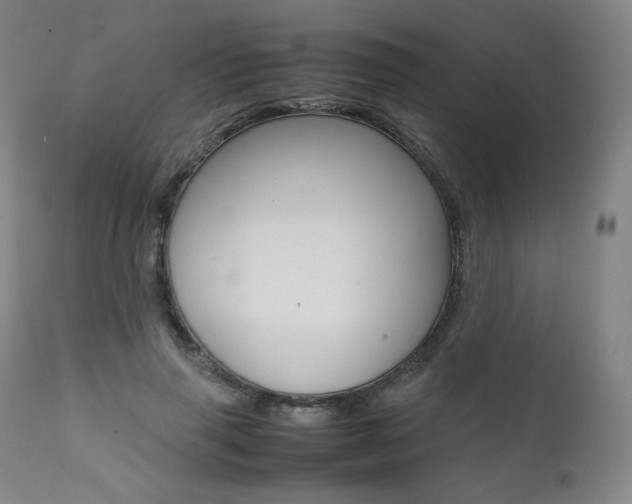X0000111390645200907101001