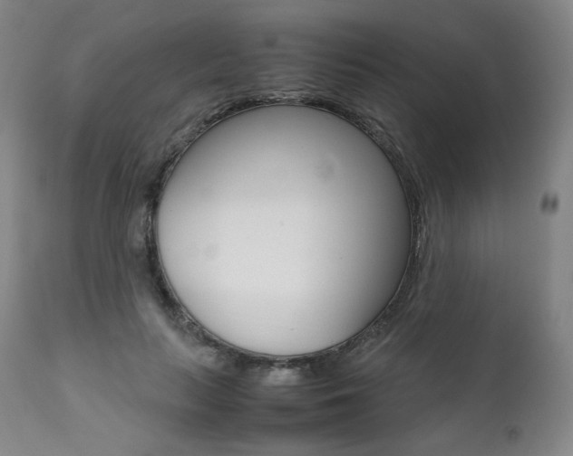 X0000111390647200907101001