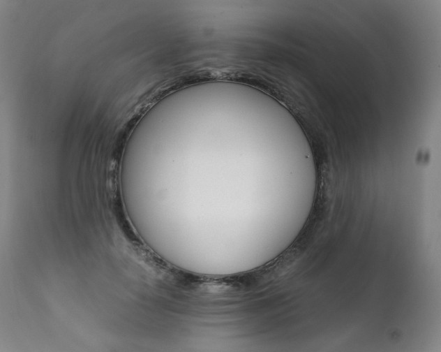 X0000111390650200907101002