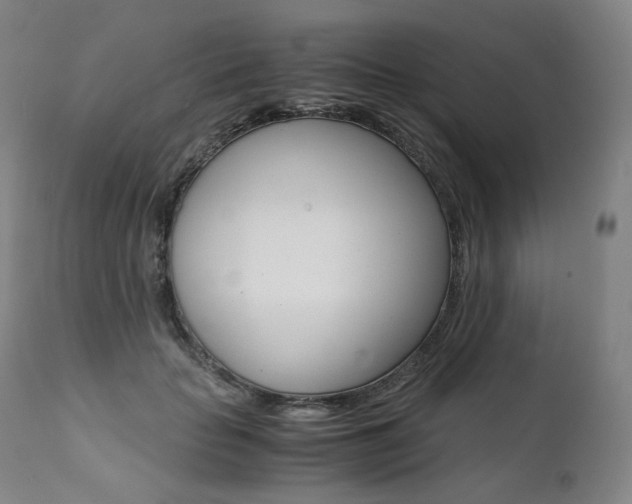 X0000111390653200907101002