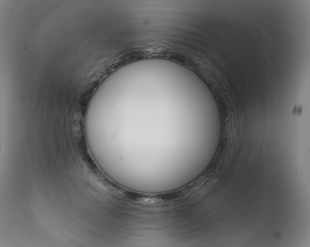 X0000111390654200907101002