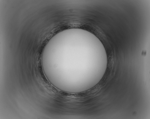 X0000111390655200907101002