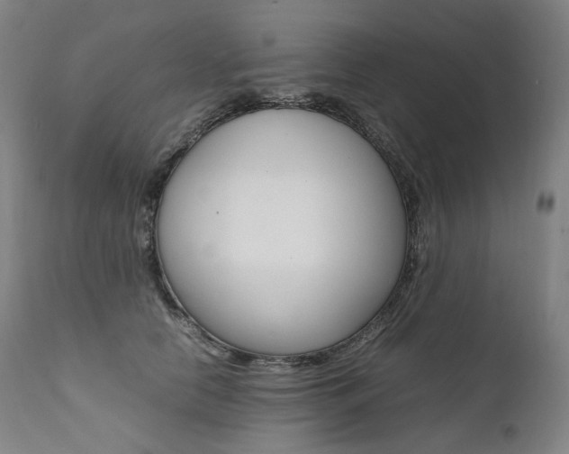 X0000111390658200907101002