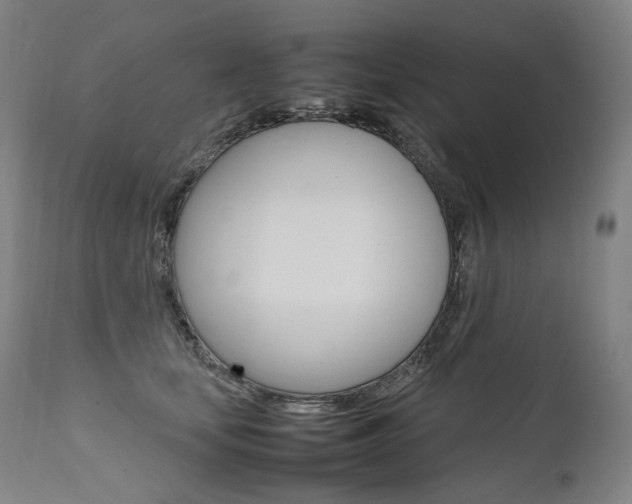 X0000111390659200907101002