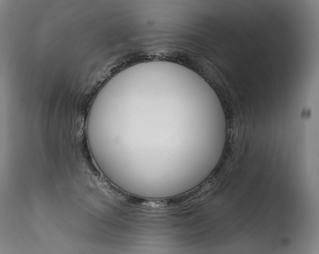 X0000111390660200907101002