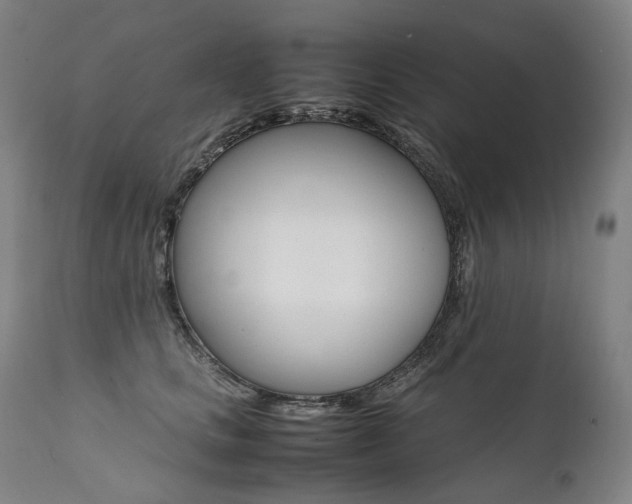 X0000111390661200907101002