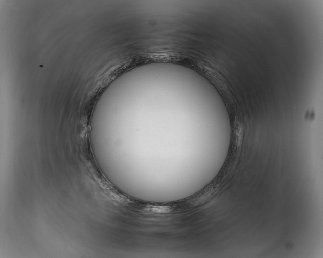 X0000111390665200907101002