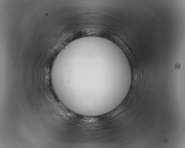 X0000111390667200907101002