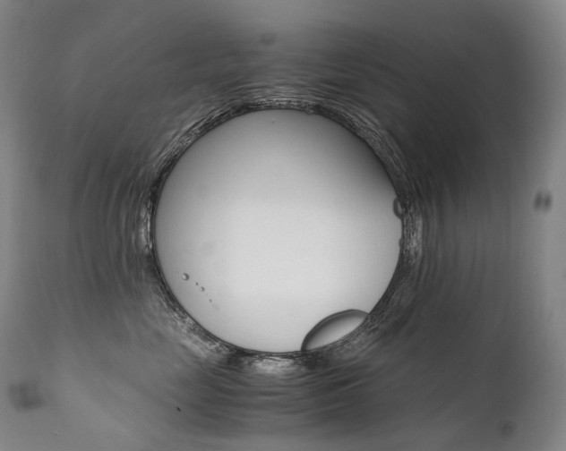 X0000111390669200907101002