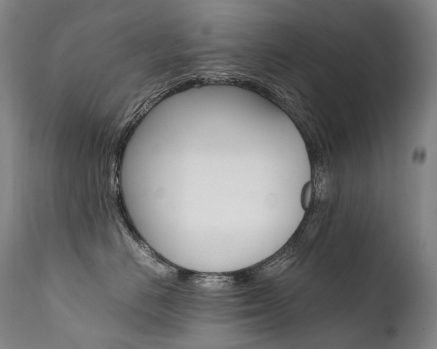 X0000111390670200907101002