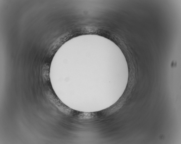 X0000111390672200907101002