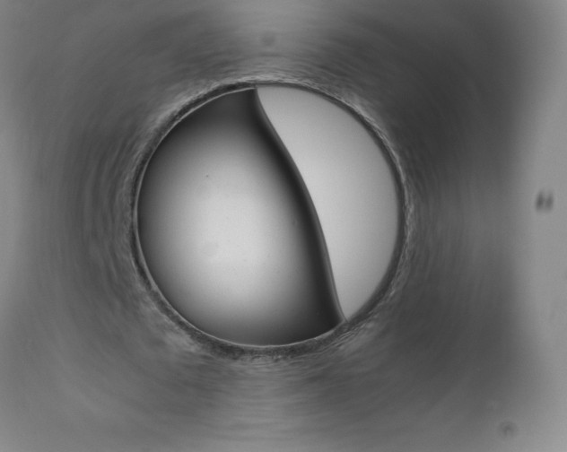 X0000111390673200907101001