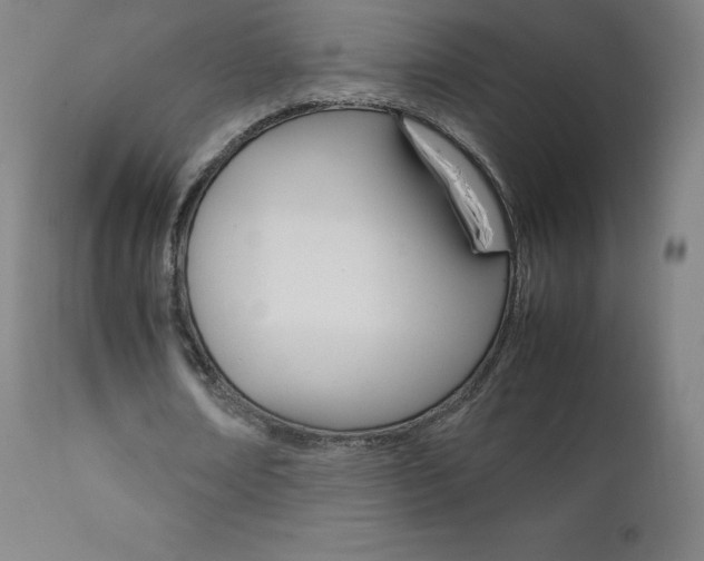 X0000111390674200907101001
