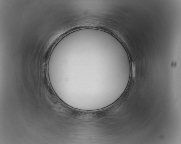 X0000111390675200907101001