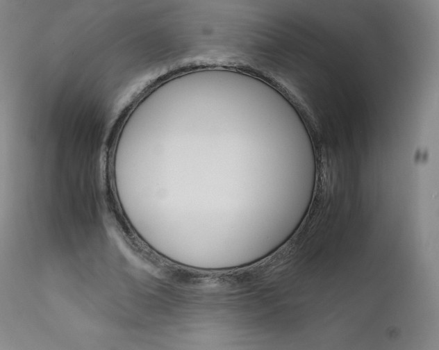 X0000111390678200907101001